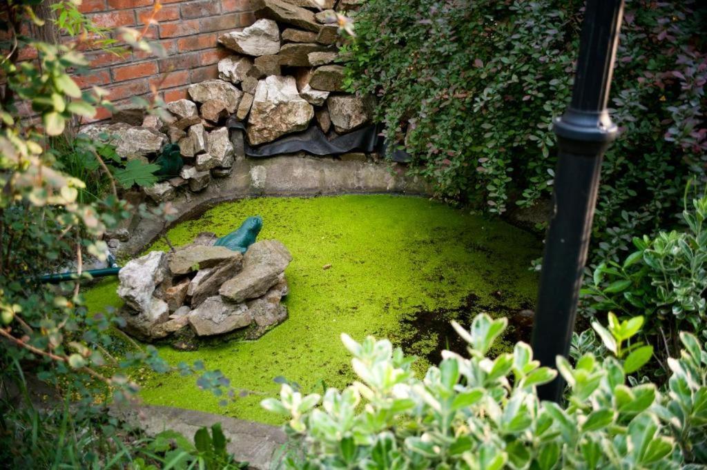 Hotel Decentria Timisoara Luaran gambar